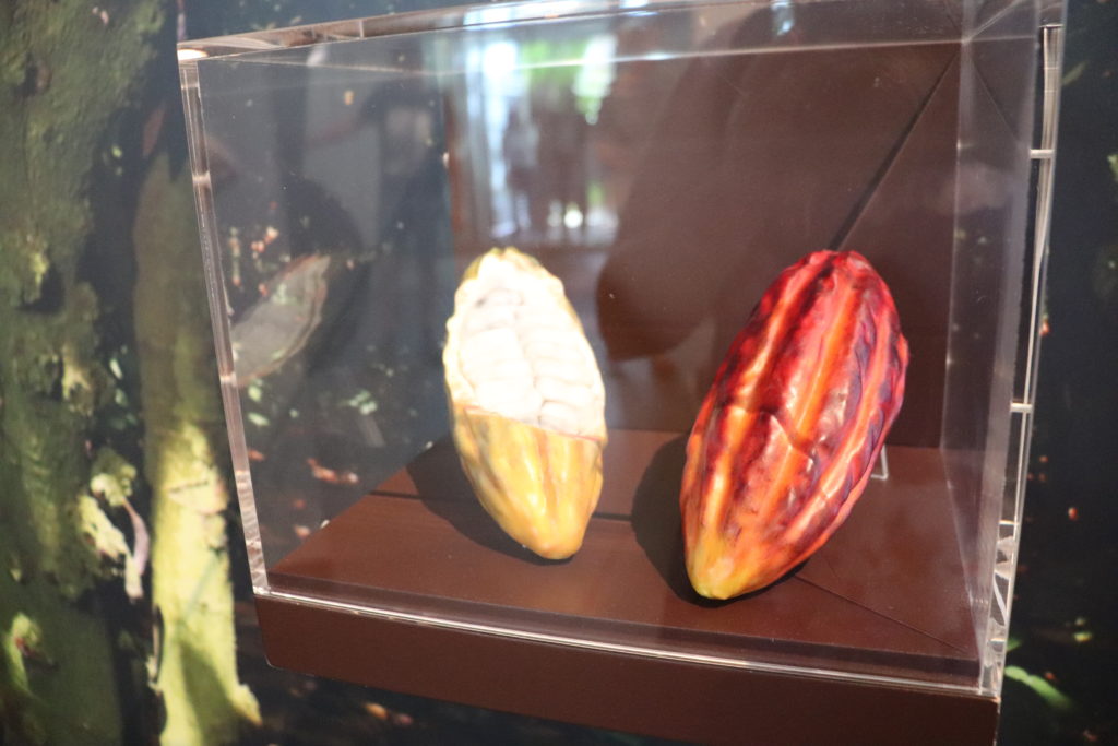 Chocolate Museum