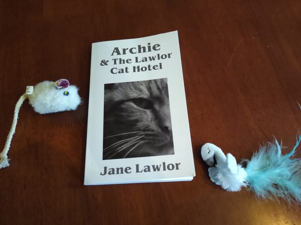 Archie and The Lawlor Cat Hotel | Book Review