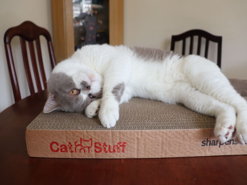 Cat Stuff Cat Scratcher | Review