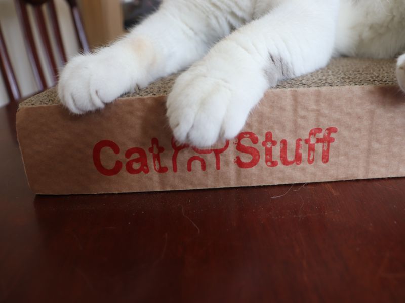 Cat Stuff