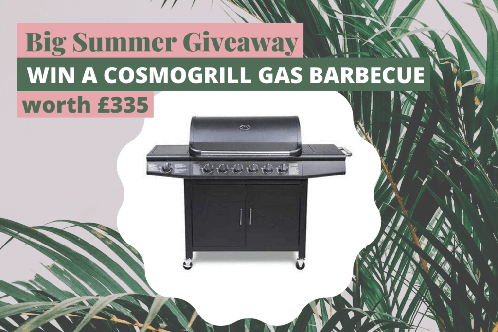 BBQ Summer Blogger Giveaway
