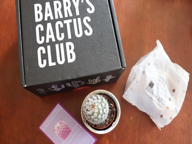 Barry's Cactus Club