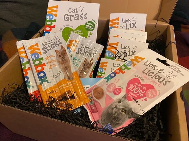 The best Webbox Treats for Cats | Review