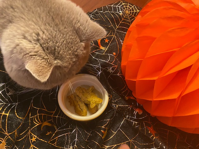 Pumpkin Cat Treats | Recipe