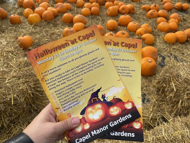 A Day Out at Capel Manor Garden Halloween Festival