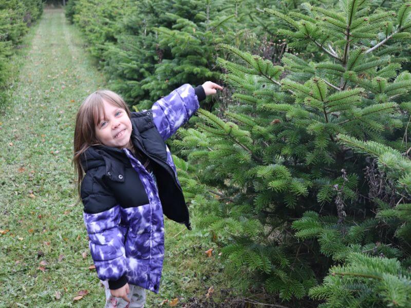 Exploring Larkins Farm for Christmas Trees! ⋆ Jupiter & Dann