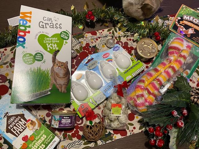 Christmas Gifts for your Furry Babies