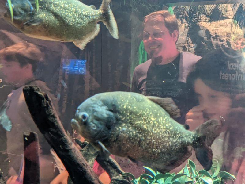 Peppa Pig's Visit Under the Sea! 🐡