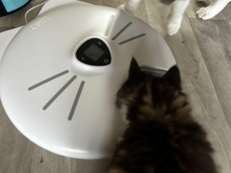 Catit PIXI Smart Meal Feeder is able to feed on a timer