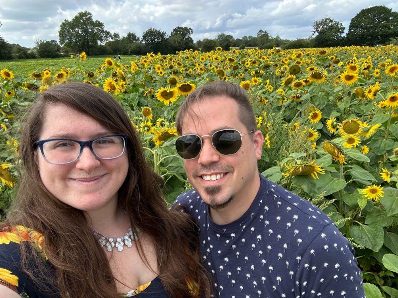 Sunflower Field at Foxes Farm