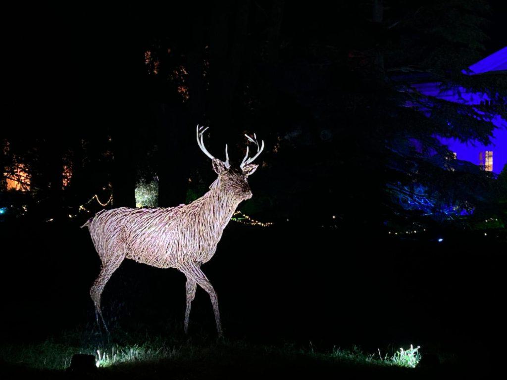 Ickworth's Light Nights