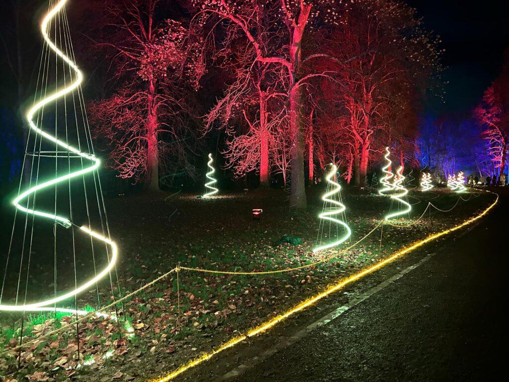 Windsor Great Park Illuminated