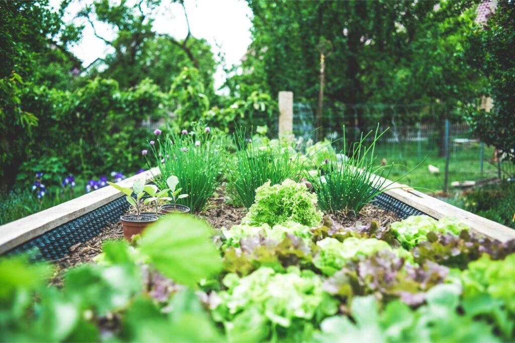 How to Keep Your Garden Thriving All Year Round