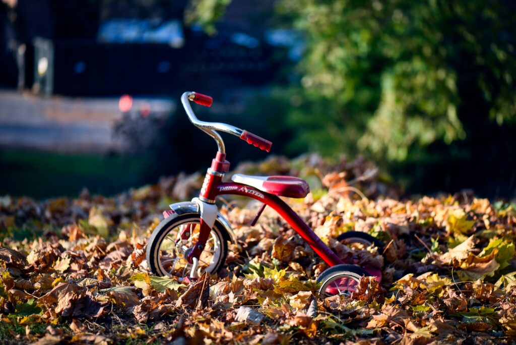 Large Tricycles: A Perfect Balance of Stability and Versatility for Adults