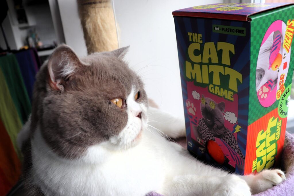 The Cat Mitt Game challenges you to act like a cat