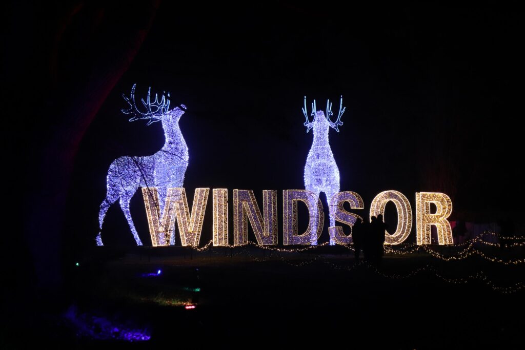 Date Night at Windsor Great Park Illuminated Light Trail