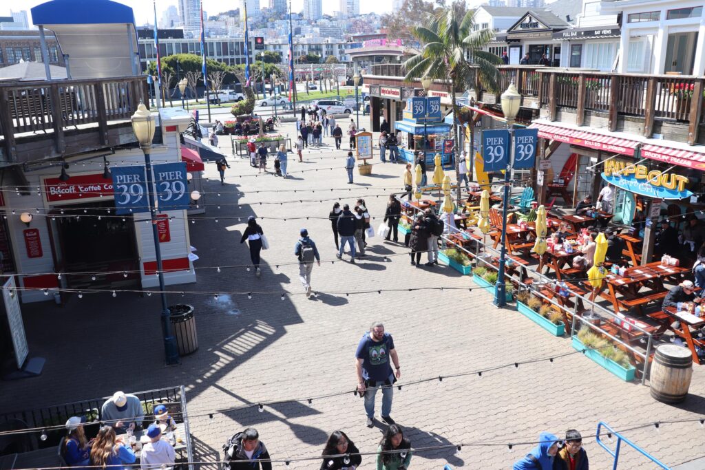 Exploring the Pier 39 Tulipmania