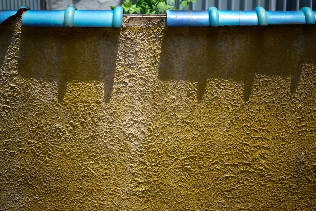 Why Sydney Homeowners Trust Blocked Drain Services
