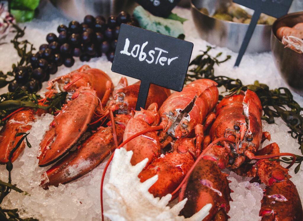 Maine Lobster Now Review 2025 — Is It Really the Best Place to Buy Lobster Online?