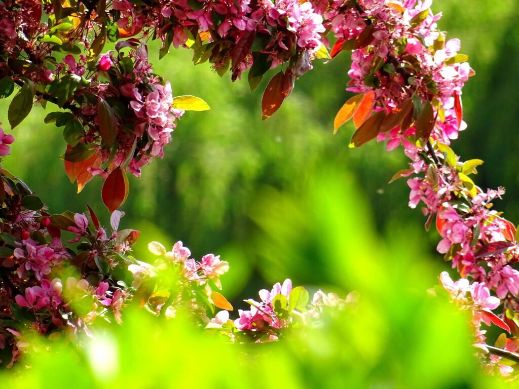 Modern Choices For Your Garden