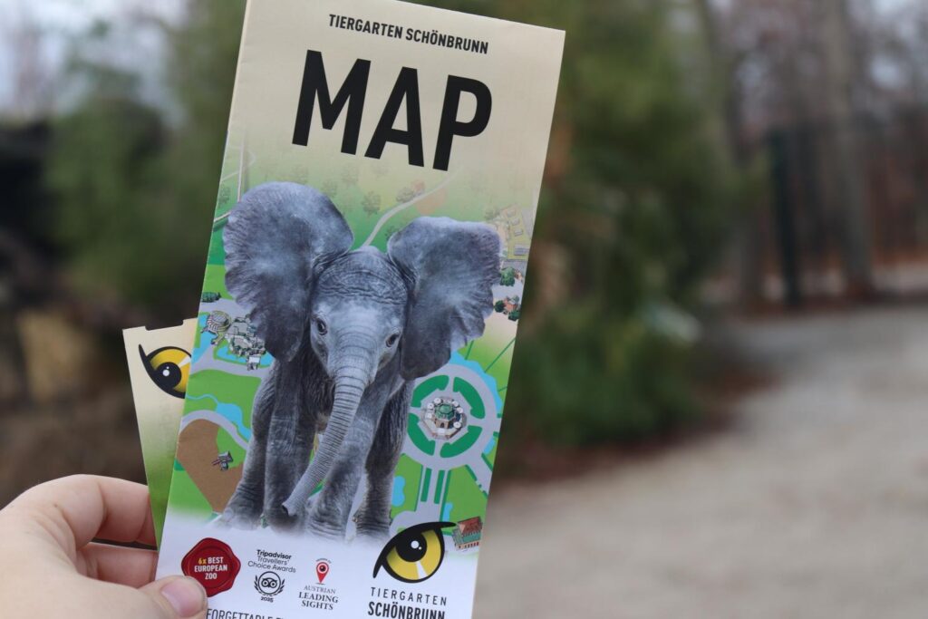 Seeing animals at Tiergarten Schonbrunn