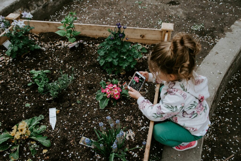 Getting Kids Involved in Growing Veg at Home