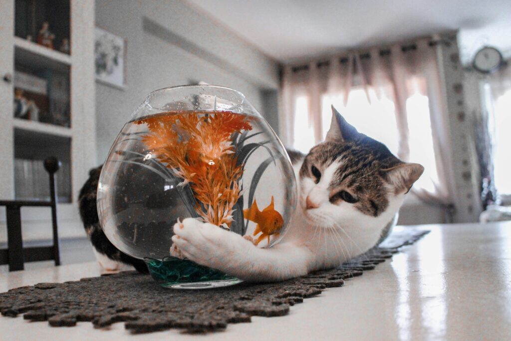Turning Pet and Family Photos into Sub-Surface Glass Keepsakes