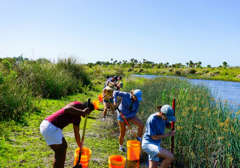 Fun Ways to Volunteer with Your Family
