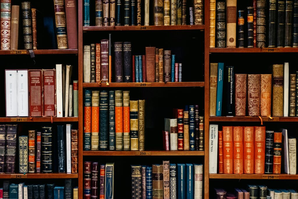 Scandinavian Noir And The Atmosphere Of Northern Literature