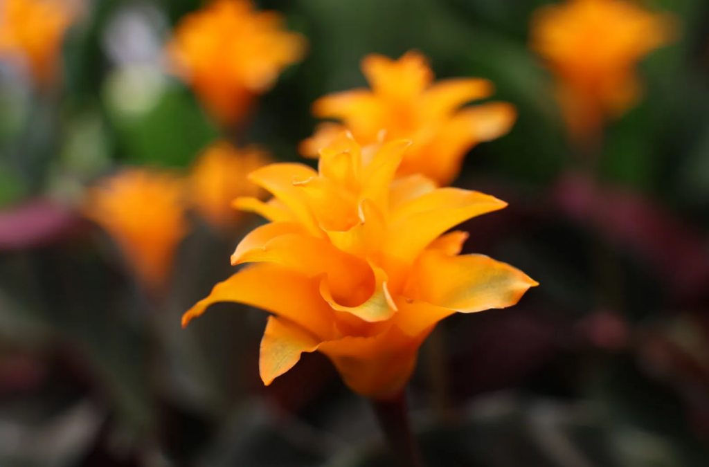Project 365 - July 2026