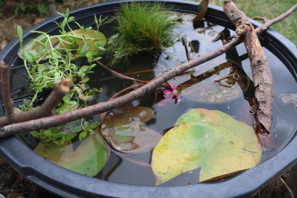 How to make a Backyard Mini-Pond