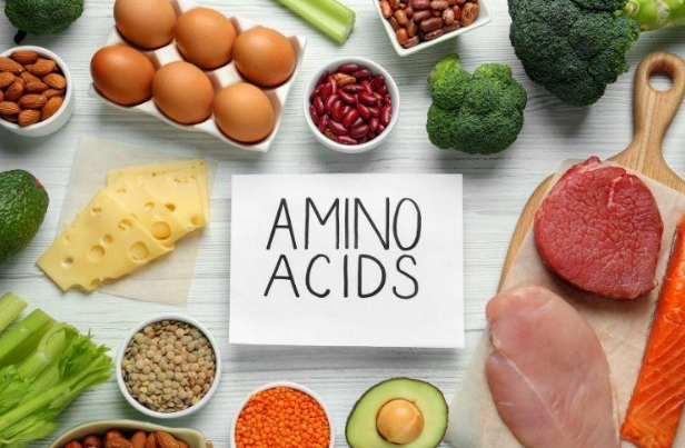 How Tiny Chains of Amino Acids Became a Big Topic in Modern Research