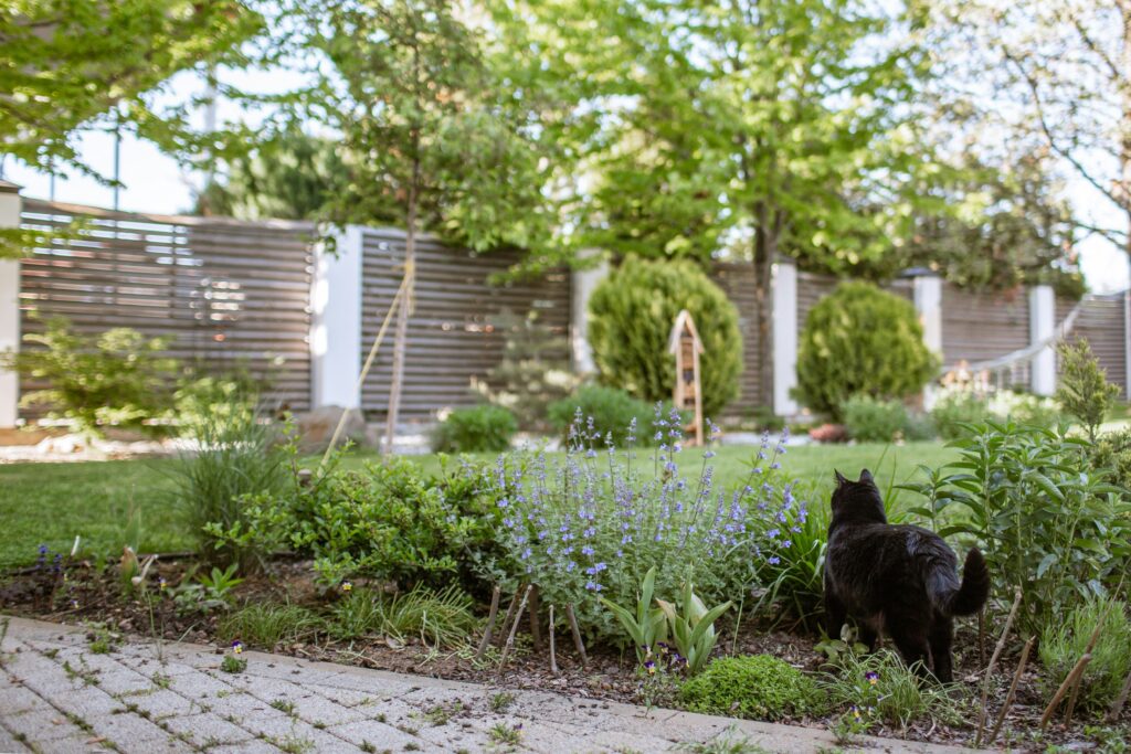 How to Make Your Home and Garden Feel More Connected