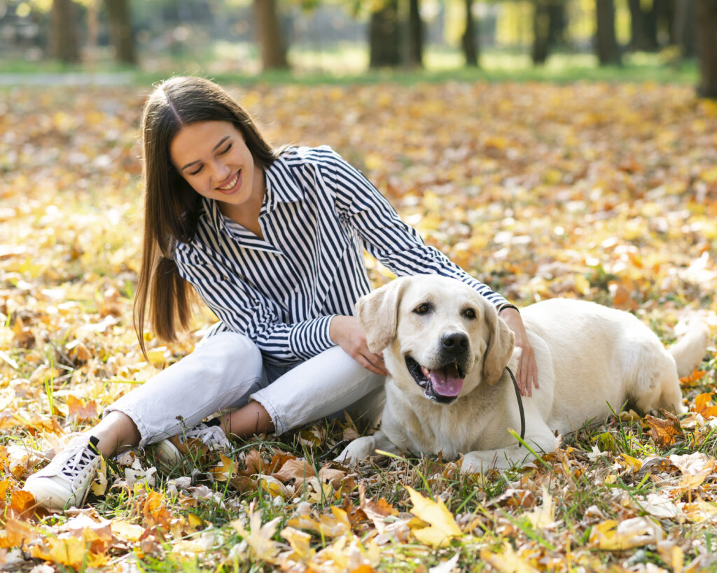 Simple Ways to Create Meaningful Memories With Your Dog