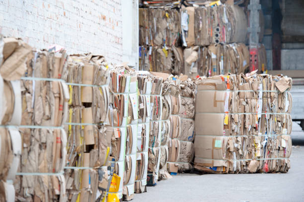 Local Recycler or Big Waste Company? Choosing Your Trash Partner